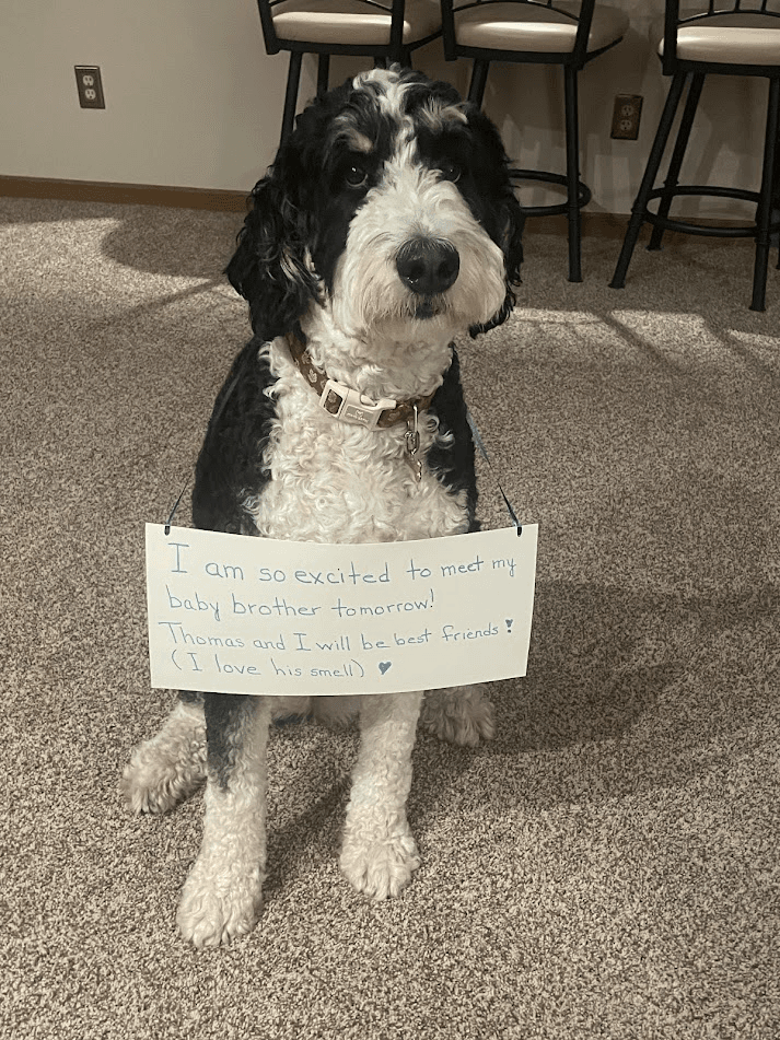 Thomas origin story image19