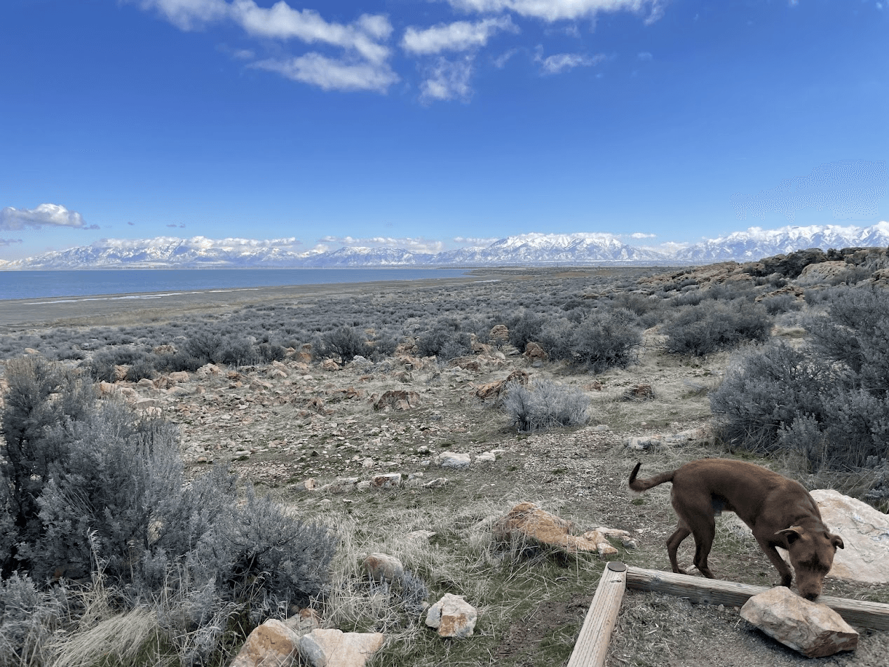 Thomas origin story image54