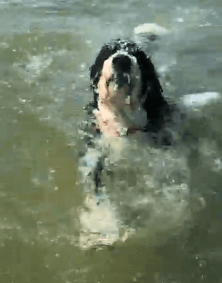 Thomas origin story image72